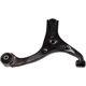 Purchase Top-Quality MOOG - RK640403 - Lower Control Arm pa9