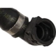 Purchase Top-Quality Lower Radiator Or Coolant Hose by CRP/REIN - CHR0582 pa13