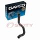 Purchase Top-Quality Lower Radiator Or Coolant Hose by DAYCO - 70729 pa2