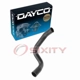Purchase Top-Quality Lower Radiator Or Coolant Hose by DAYCO - 71321 pa6