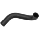 Purchase Top-Quality Lower Radiator Or Coolant Hose by GATES - 20364 pa8