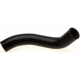 Purchase Top-Quality Lower Radiator Or Coolant Hose by GATES - 23247 pa3