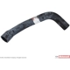 Purchase Top-Quality Lower Radiator Or Coolant Hose by MOTORCRAFT - KM1119 pa2