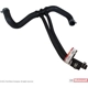 Purchase Top-Quality Lower Radiator Or Coolant Hose by MOTORCRAFT - KM4348 pa3