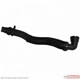 Purchase Top-Quality Lower Radiator Or Coolant Hose by MOTORCRAFT - KM4950 pa6