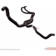 Purchase Top-Quality Lower Radiator Or Coolant Hose by MOTORCRAFT - KM5105 pa1