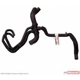 Purchase Top-Quality Lower Radiator Or Coolant Hose by MOTORCRAFT - KM5105 pa2