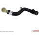 Purchase Top-Quality Lower Radiator Or Coolant Hose by MOTORCRAFT - KM5113 pa2