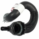 Purchase Top-Quality Lower Radiator Or Coolant Hose by MOTORCRAFT - KM5132 pa1