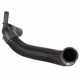 Purchase Top-Quality Lower Radiator Or Coolant Hose by MOTORCRAFT - KM5178 pa1