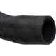 Purchase Top-Quality Lower Radiator Or Coolant Hose by URO - 1075010982 pa4