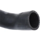 Purchase Top-Quality URO - 11531721709 - Radiator Hose pa3