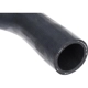 Purchase Top-Quality URO - 11531721709 - Radiator Hose pa5
