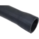 Purchase Top-Quality Lower Radiator Or Coolant Hose by URO - 11531740481 pa4