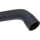 Purchase Top-Quality Lower Radiator Or Coolant Hose by URO - 11531740481 pa6