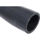 Purchase Top-Quality Lower Radiator Or Coolant Hose by URO - 11531741409 pa6