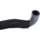 Purchase Top-Quality URO - 12785038 - Radiator Hose pa2