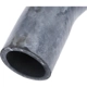 Purchase Top-Quality URO - 12785038 - Radiator Hose pa3