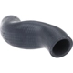 Purchase Top-Quality URO - 17127515489 - Radiator Hose pa4
