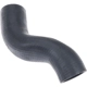 Purchase Top-Quality URO - 17127515489 - Radiator Hose pa5