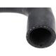 Purchase Top-Quality Lower Radiator Or Coolant Hose by URO - 17127617364 pa2