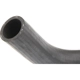Purchase Top-Quality Lower Radiator Or Coolant Hose by URO - 270616 pa3
