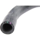 Purchase Top-Quality Lower Radiator Or Coolant Hose by URO - 30680923 pa4