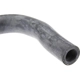 Purchase Top-Quality Lower Radiator Or Coolant Hose by URO - 30680923 pa5