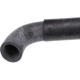 Purchase Top-Quality URO - 30681899 - Radiator Hose pa4
