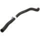 Purchase Top-Quality Lower Radiator Or Coolant Hose by URO - 31319446 pa2