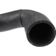 Purchase Top-Quality Lower Radiator Or Coolant Hose by URO - 94410623707 pa5