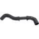 Purchase Top-Quality URO - C2C9778 - Radiator Hose pa5