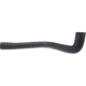 Purchase Top-Quality Lower Radiator Or Coolant Hose by URO - C2N1173 pa3