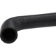 Purchase Top-Quality Lower Radiator Or Coolant Hose by URO - C2N1173 pa5
