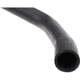 Purchase Top-Quality Lower Radiator Or Coolant Hose by URO - C2N1173 pa6