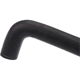 Purchase Top-Quality Lower Radiator Or Coolant Hose by URO - C2N1173 pa7