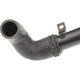 Purchase Top-Quality Lower Radiator Or Coolant Hose by URO - XR825340 pa5