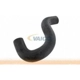 Purchase Top-Quality Lower Radiator Or Coolant Hose by VAICO - V10-0057 pa4