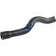 Purchase Top-Quality Lower Radiator Or Coolant Hose by VAICO - V20-1611 pa2