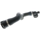 Purchase Top-Quality Lower Radiator Or Coolant Hose by VAICO - V20-1764 pa1