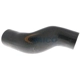 Purchase Top-Quality Lower Radiator Or Coolant Hose by VAICO - V20-2608 pa5