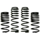 Purchase Top-Quality Lowering Sport Coils by SKYJACKER - LOWJK024 pa1