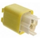 Purchase Top-Quality Main Relay by BLUE STREAK (HYGRADE MOTOR) - RY194 pa9