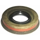 Purchase Top-Quality Mainshaft Seal by SKF - 15525 pa3
