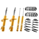 Purchase Top-Quality BILSTEIN - 46-189868 - Lowering Kit pa1