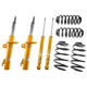 Purchase Top-Quality BILSTEIN - 46-192653 - Suspension Kit pa1