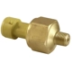 Purchase Top-Quality AEM ELECTRONICS - 30-2131-100 - Brass Sensor Kit pa1