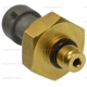 Purchase Top-Quality Manifold Absolute Pressure Sensor by BLUE STREAK (HYGRADE MOTOR) - AS670 pa1