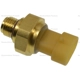 Purchase Top-Quality Manifold Absolute Pressure Sensor by BLUE STREAK (HYGRADE MOTOR) - AS680 pa3