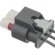 Purchase Top-Quality Manifold Absolute Pressure Sensor Connector by BWD AUTOMOTIVE - PT2898 pa2